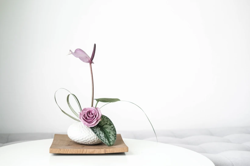 Ikebana, flower art