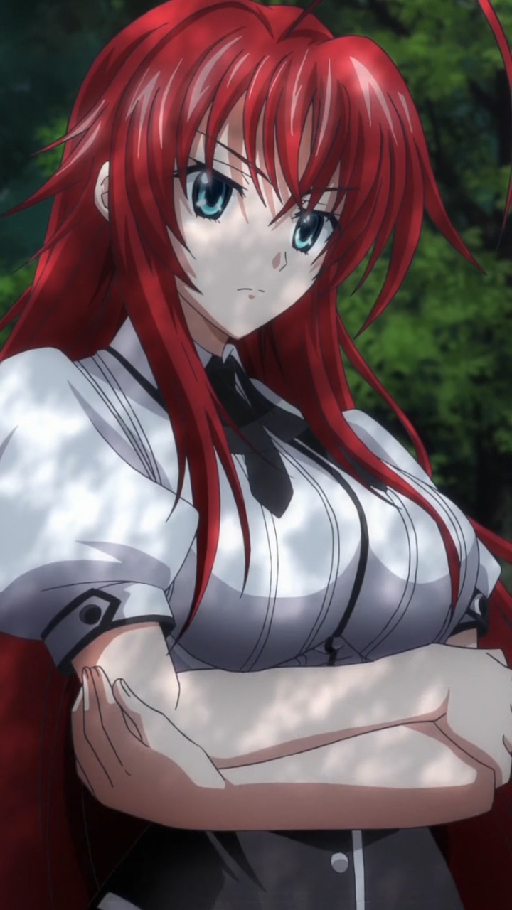 How much do you know about Rias Gremory?