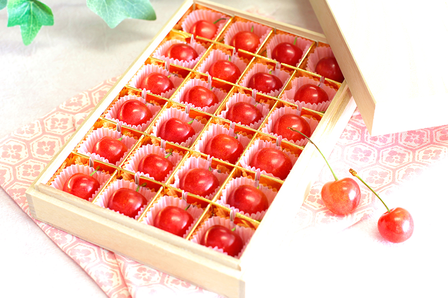 The luxury of “Sato Nishiki” cherries in Japan: Is it worth the price?